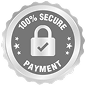 100% secure payment